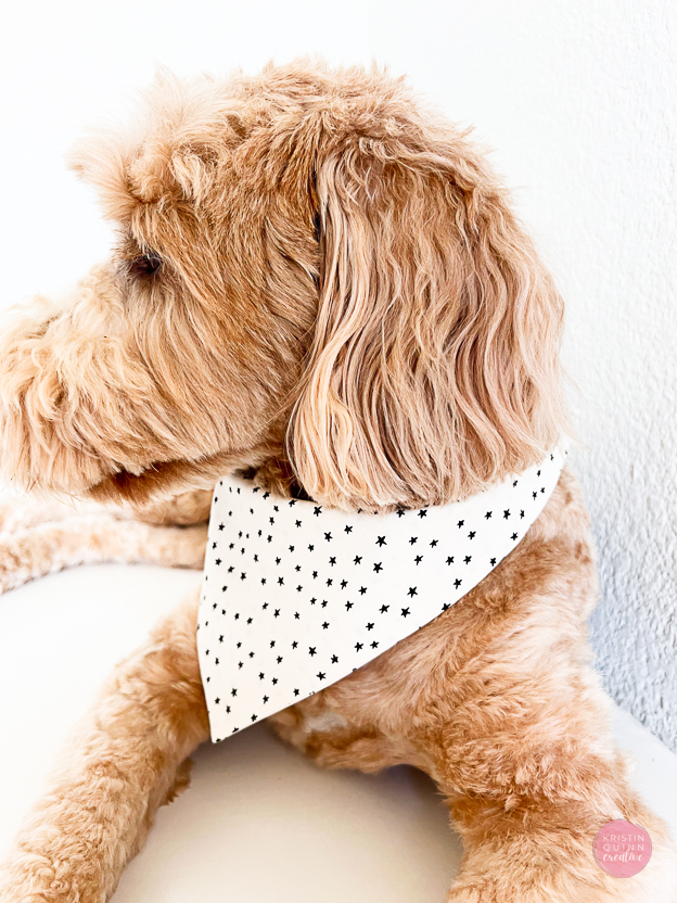 Dog Bandana Tutorial