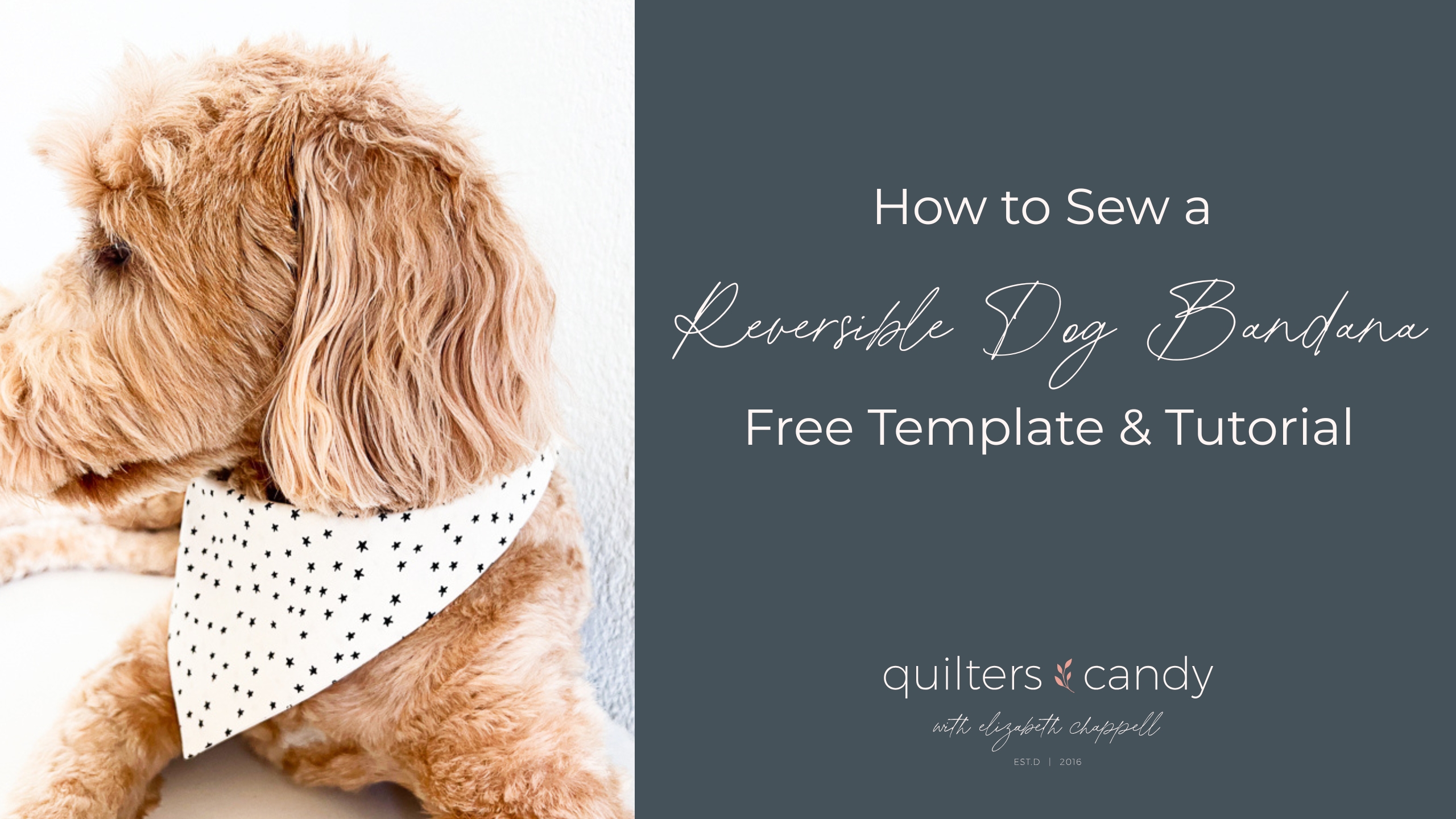 How to Sew a Reversible Dog Bandana